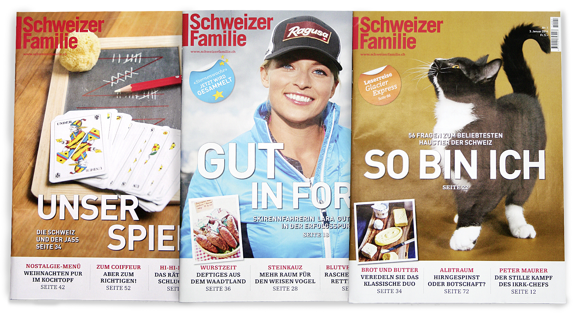 Schweizerfamilie gross